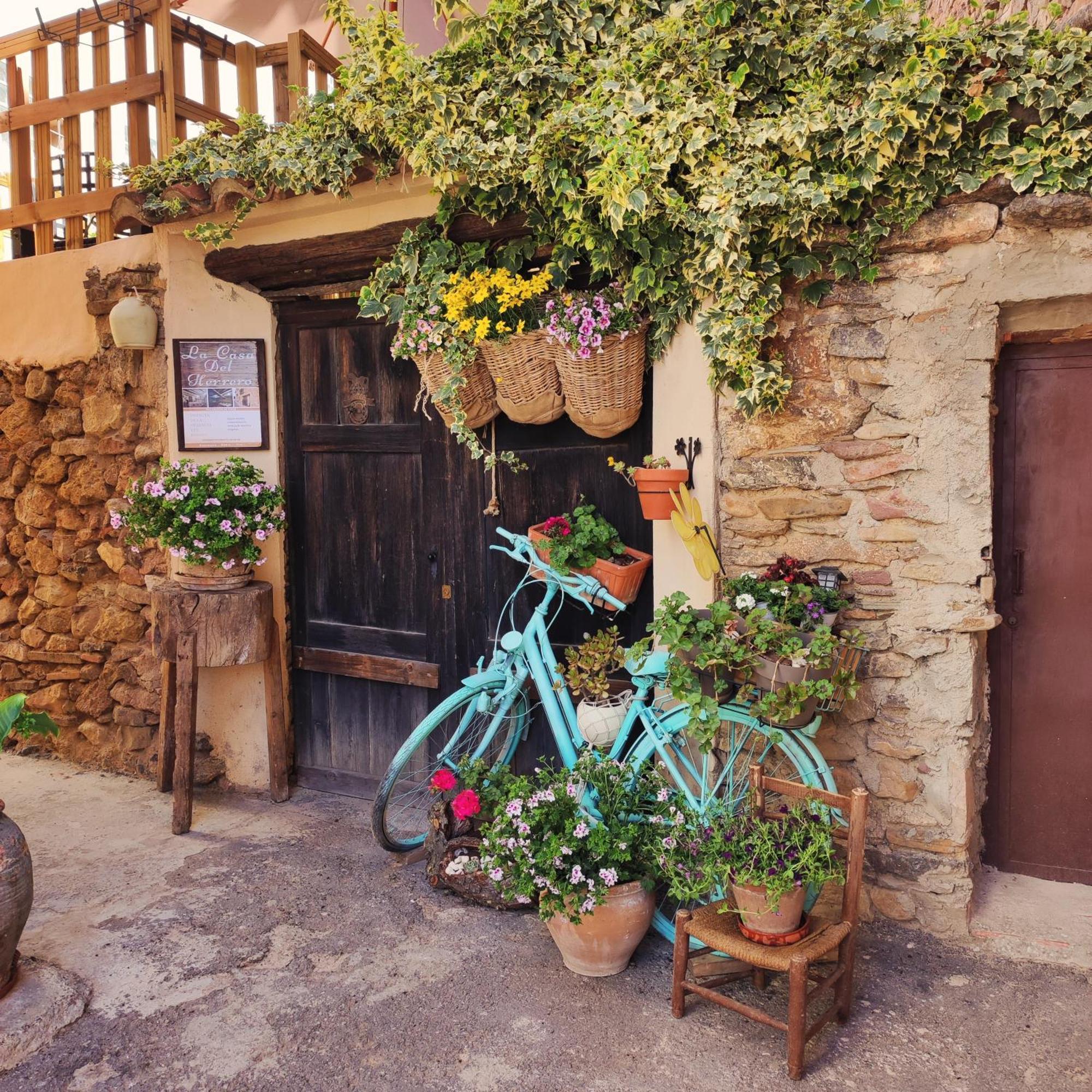 Vila Alcoba Con Patio Del Siglo XIX Villanueva de Viver Exteriér fotografie